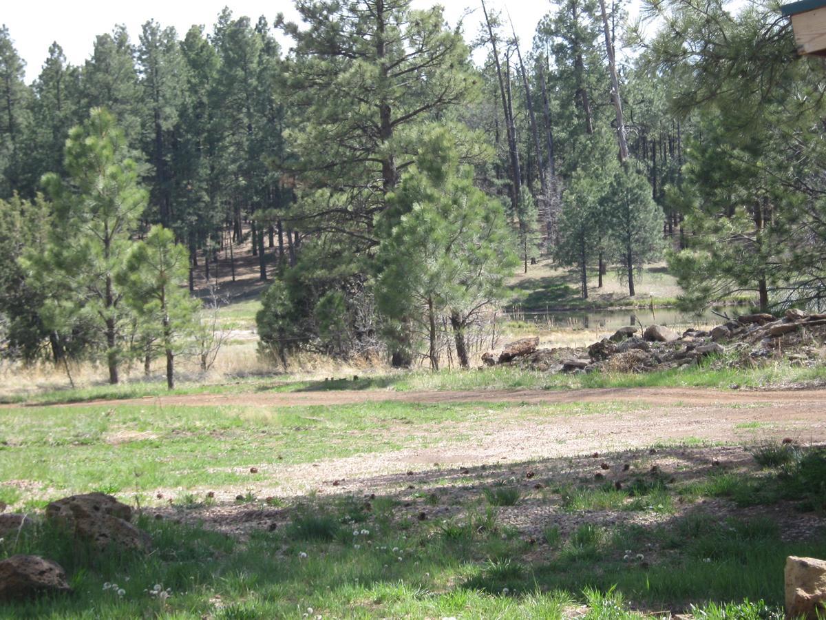 Double B Lodge Pinetop-Lakeside Exterior photo